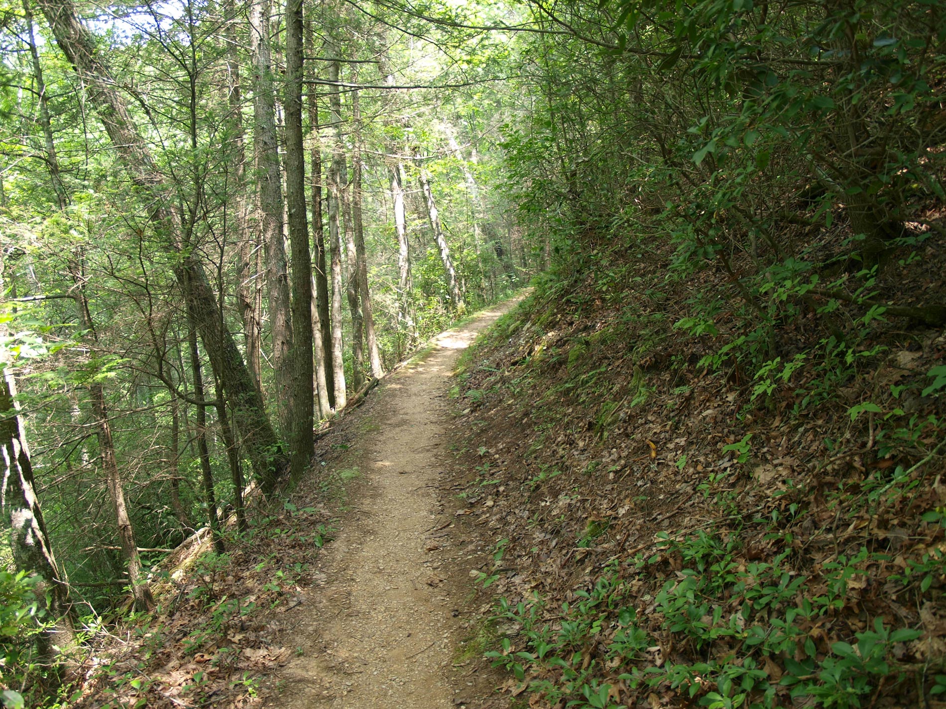 Forest Service Asks Public’s Help with Trail Maintenance