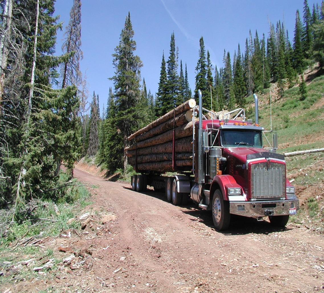 Bill Would Roll Back Environmental Rules on Logging Projects