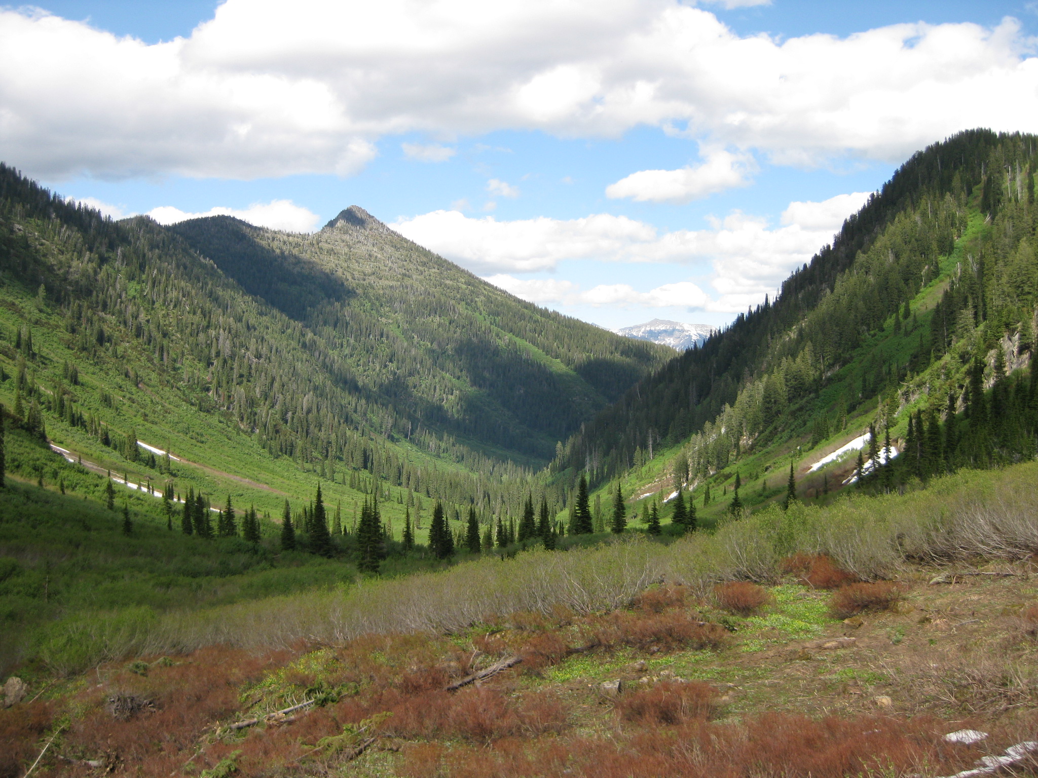 Survey Says: Montanans Want More Wilderness