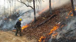 FSEEE Featured in Public Radio Report on Wildfires