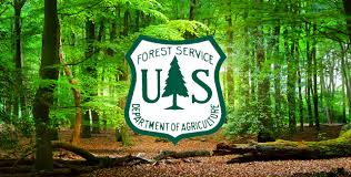 Job Satisfaction Drops Among Forest Service Employees