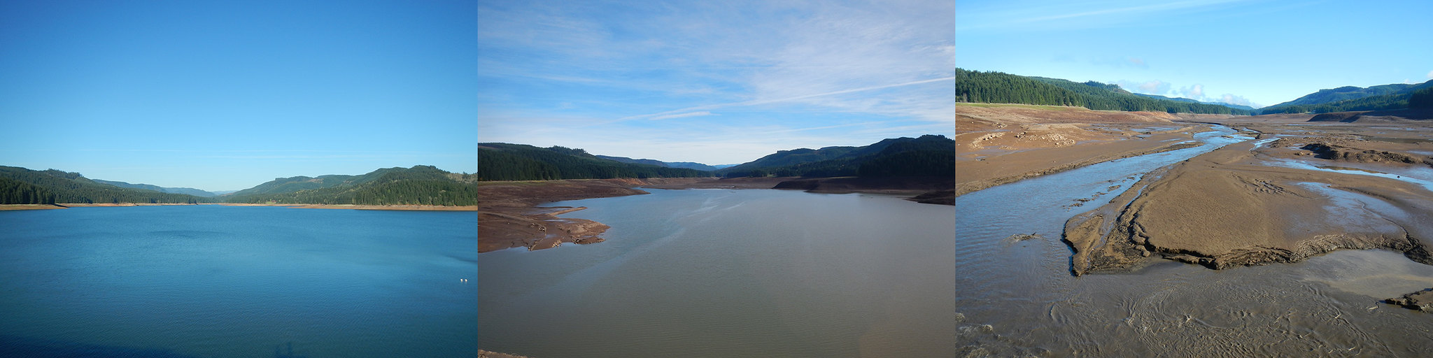 Study: Draining Reservoir Helps Salmon