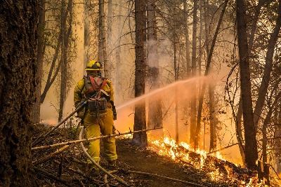 Opinion: Look to wildfires history to better prepare for next one