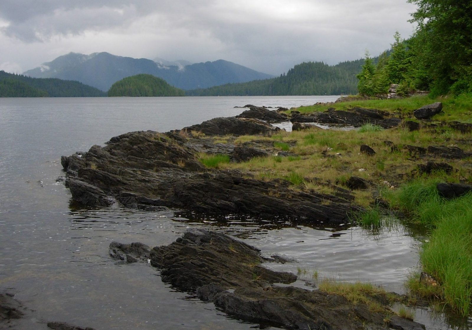 A Victory for the Tongass