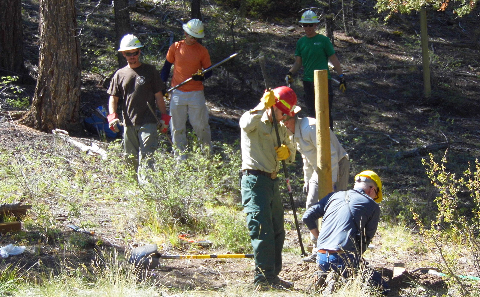 Forest Service Partnerships and Volunteers