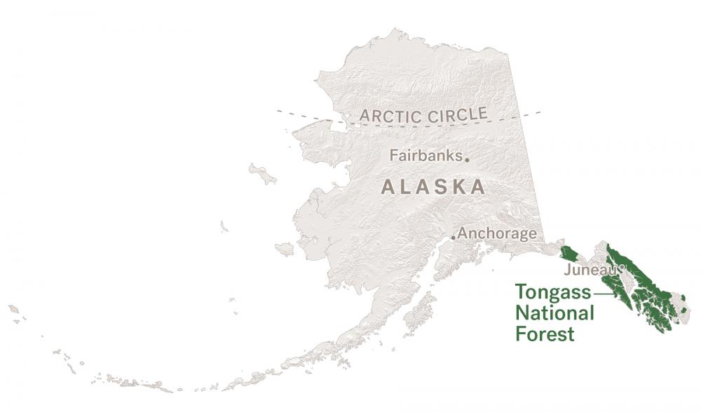 Biden Administration Moves to Reverse Trump’s Tongass Actions