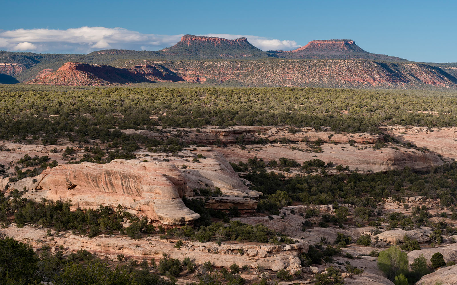 Native American Tribes Will Co-manage Bears Ears