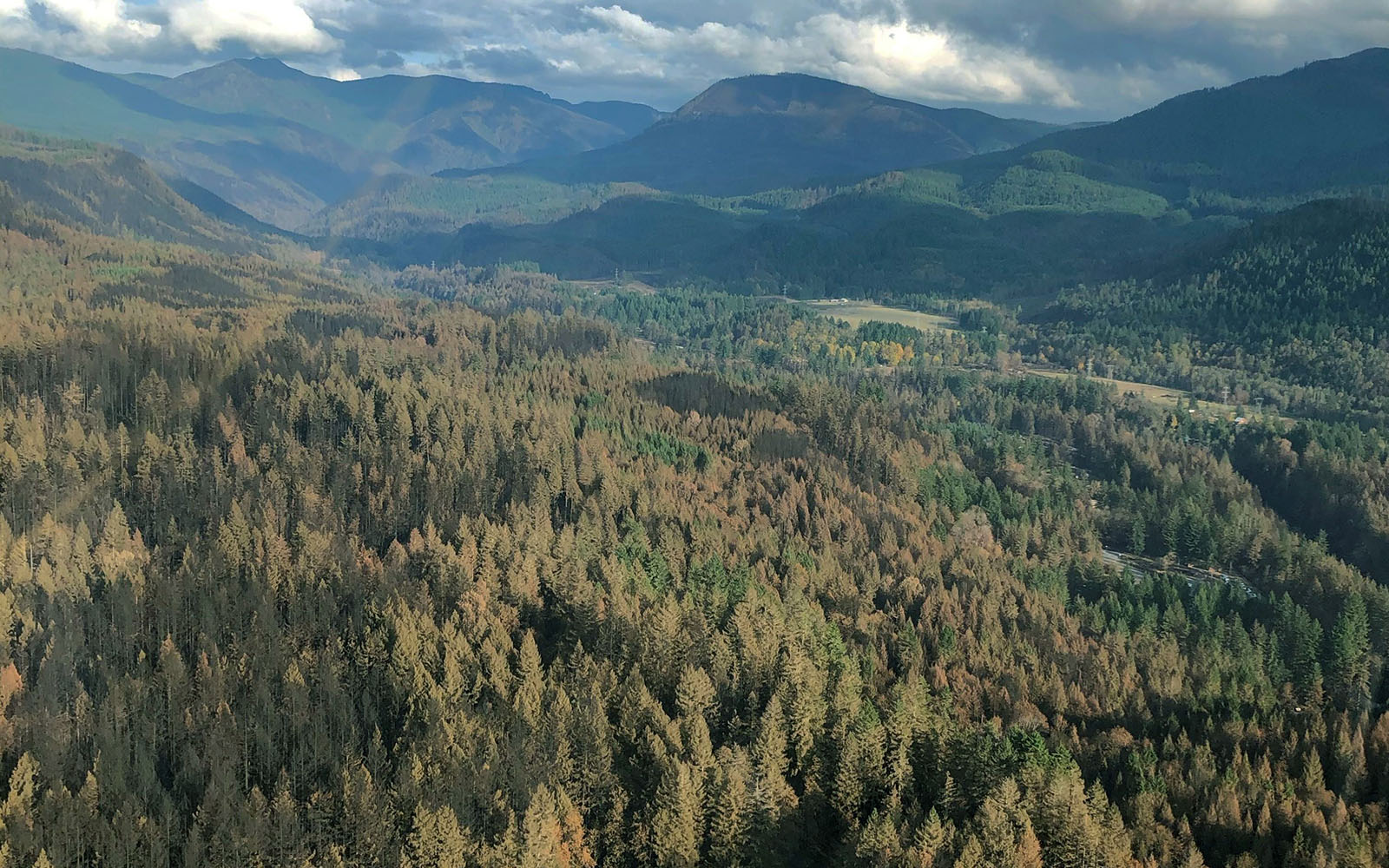 Victory: Post-fire Forests Reopening in Oregon