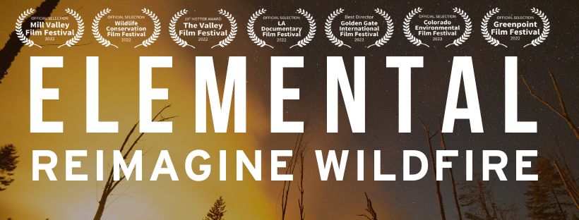 Now Streaming: ‘Elemental: Reimagine Wildfire’