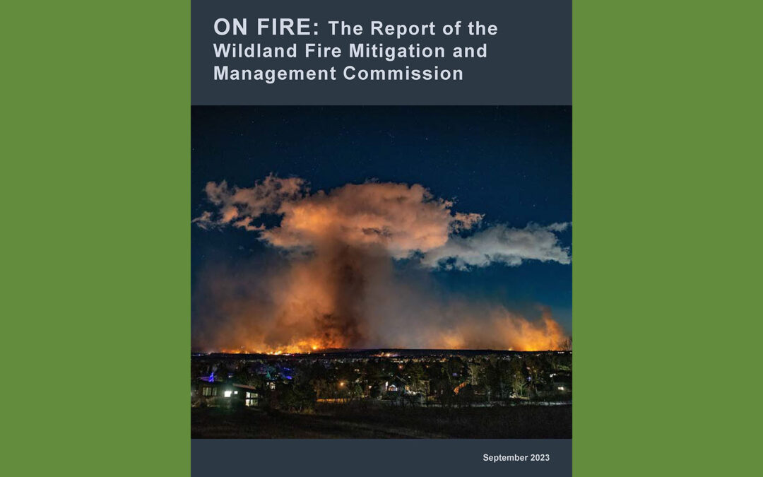 Federal Wildfire Commission Issues Report
