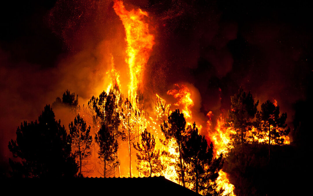 How Homes Can Survive Wildfire