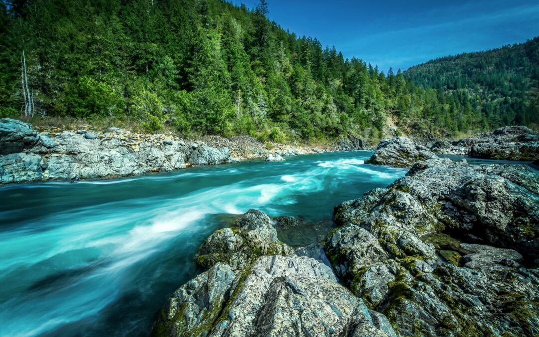 Encourage Elected Officials to Protect Vital Salmon Strongholds