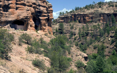 Gila National Forest