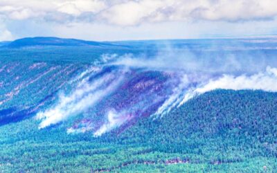 Fire Escapes Containment; Retardant Proves Ineffective