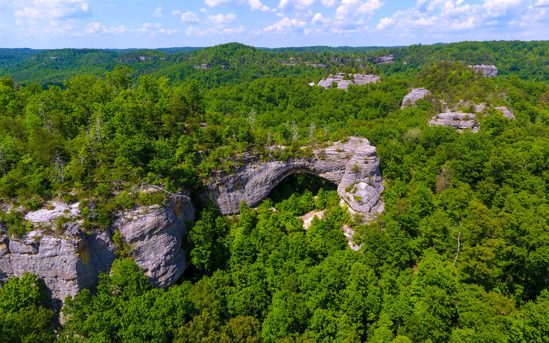 Daniel Boone National Forest