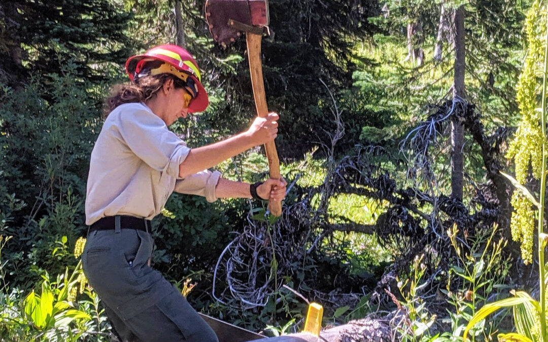 Forest Service Releases Seasonal Employees