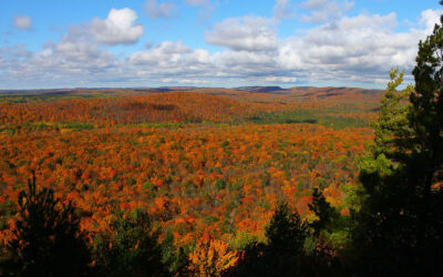 Ottawa National Forest