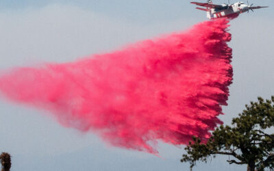 ‘Wildfire Retardant is Laden With Toxic Metals’