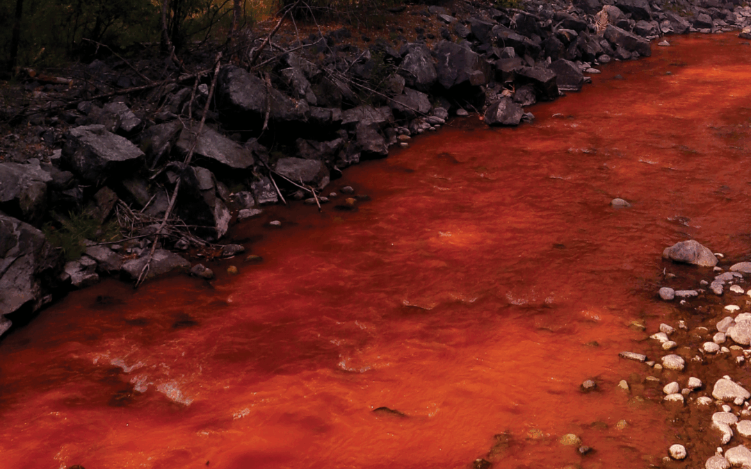 Tell Your Senators to Oppose S.B.1672