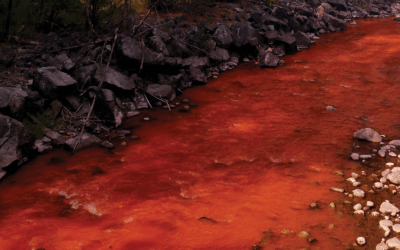 Tell Your Senators to Oppose S.B.1672