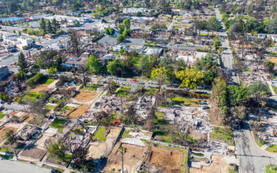 Vegetation Near Homes — Not Always a Fire Risk