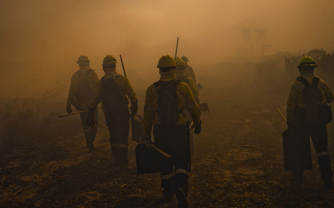 Interior Announces Next Steps to Consolidate Wildland Firefighting