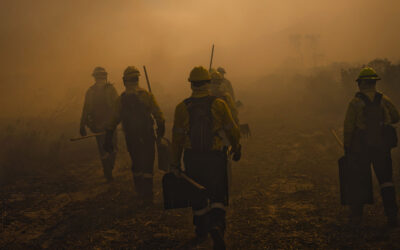 Interior Announces Next Steps to Consolidate Wildland Firefighting