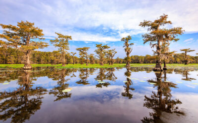 Caddo Lake — Wetland of International Importance