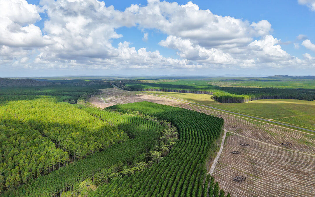 Forest Legacy Management Flexibility Bill