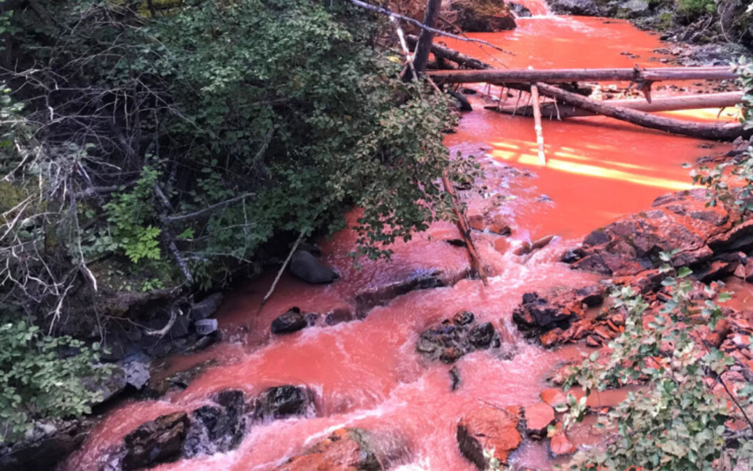 Implore Your Senators to Oppose HR 3898