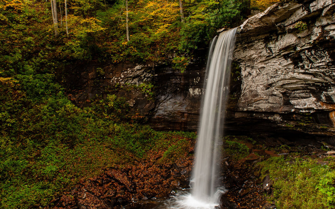 Monongahela National Forest
