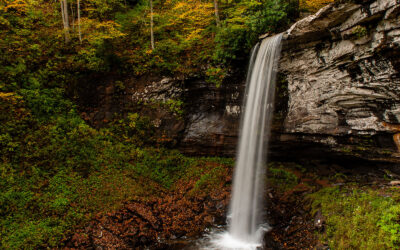 Monongahela National Forest