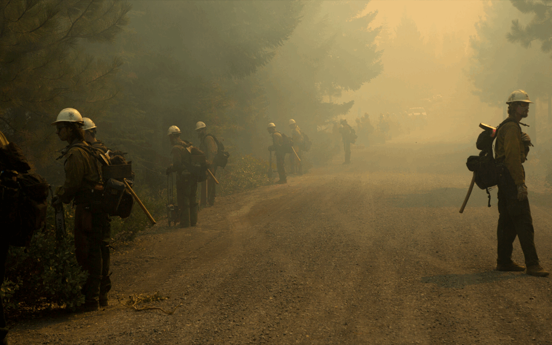 A Tumultuous Nine Months at the Forest Service