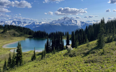 Act Now to Keep the Public in Public Lands!