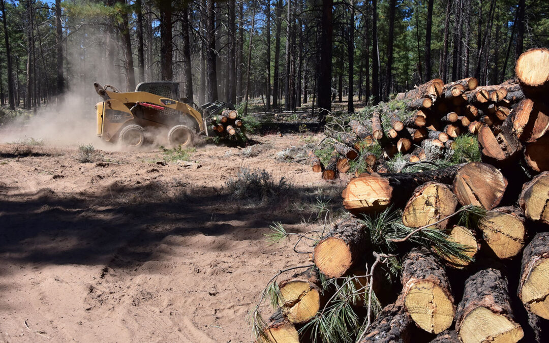 Climatologist: Fuel-Reduction Logging is a Trojan Horse