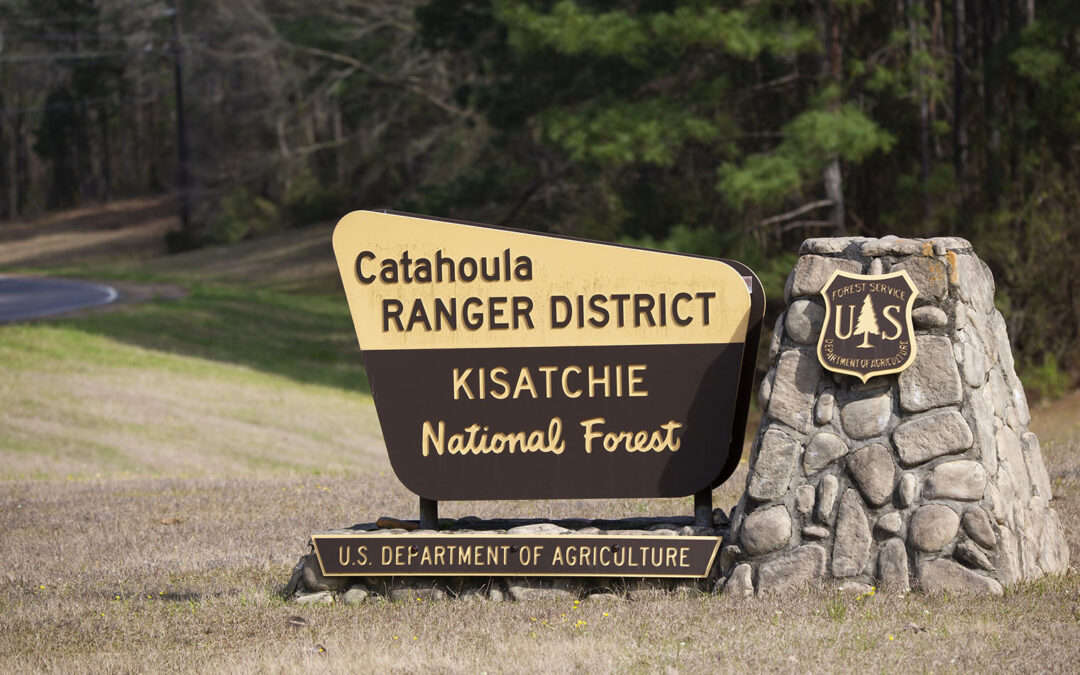 Senator Cassidy Drops Proposal to Carve up Kisatchie, Louisiana’s Only National Forest