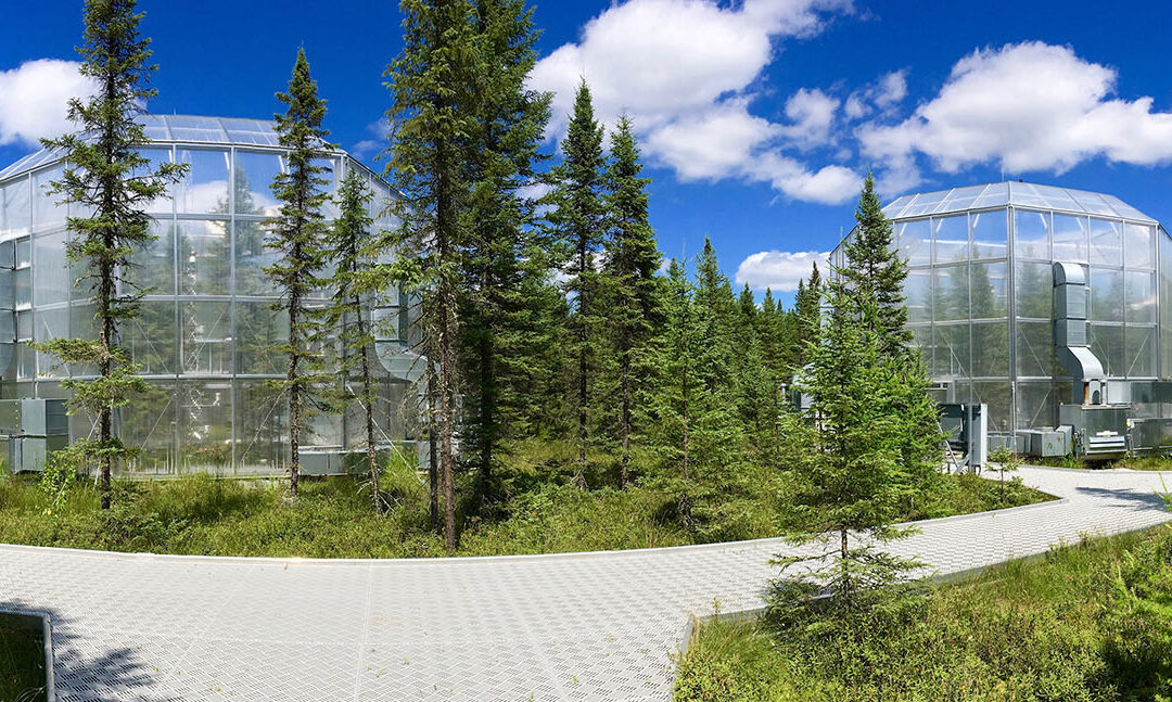 FS Reorganization Will Close Leading Research Lab in Minnesota