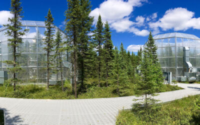 FS Reorganization Will Close Leading Research Lab in Minnesota