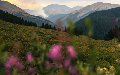 Wildfire Research and Response Face Uncertain Future