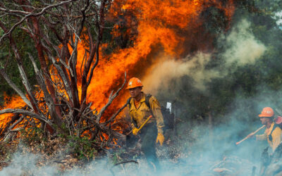 U.S. Wildland Fire Service