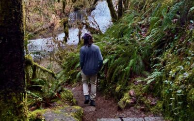 Oregon Lawsuit Argues Decades of BLM Land Plans Were Never Valid