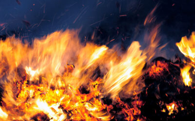 Fast Fire