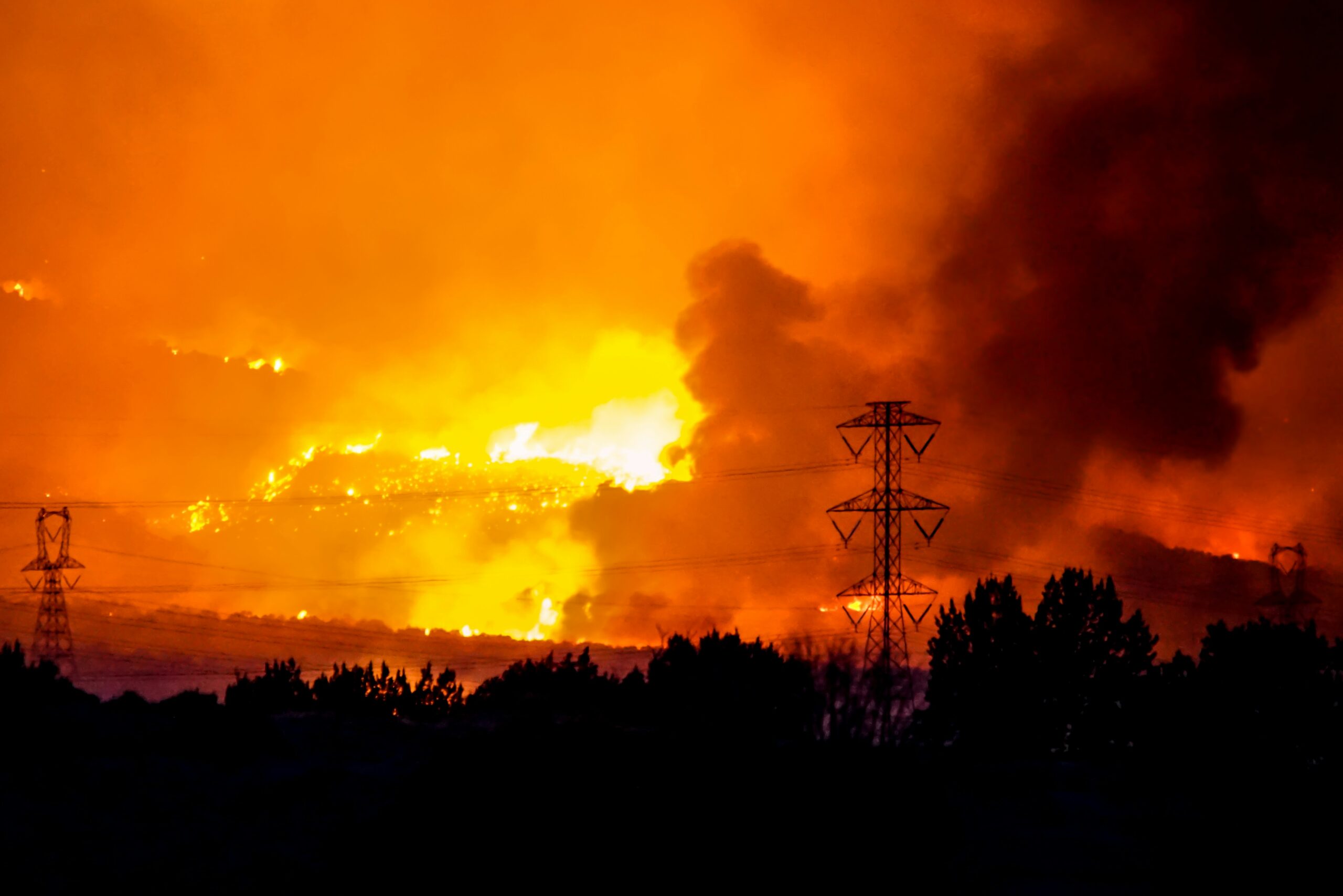 EOS Article Highlights FSEEE Concerns About Forest Service Research Cuts
