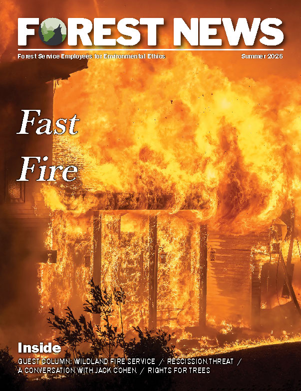 FSEEE-Forest-News-Summer-2026-cover