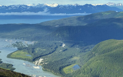 Defend the 2001 Roadless Area Conservation Rule